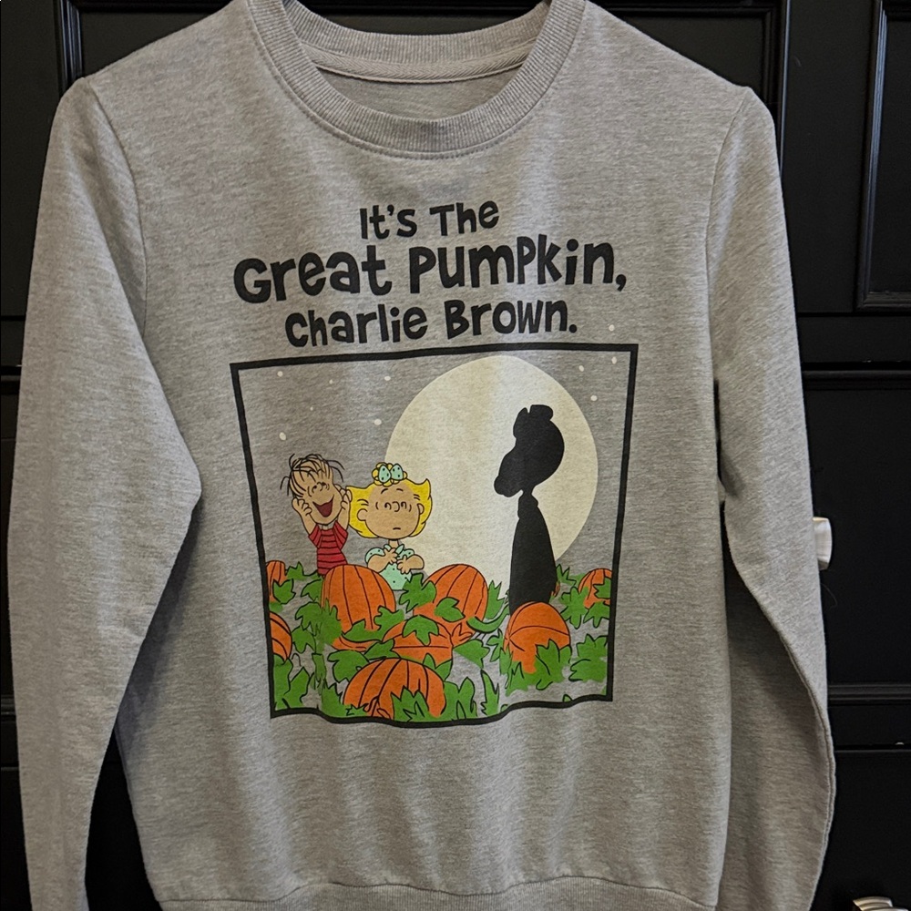 Mighty Fine Gray Peanuts Halloween Sweater